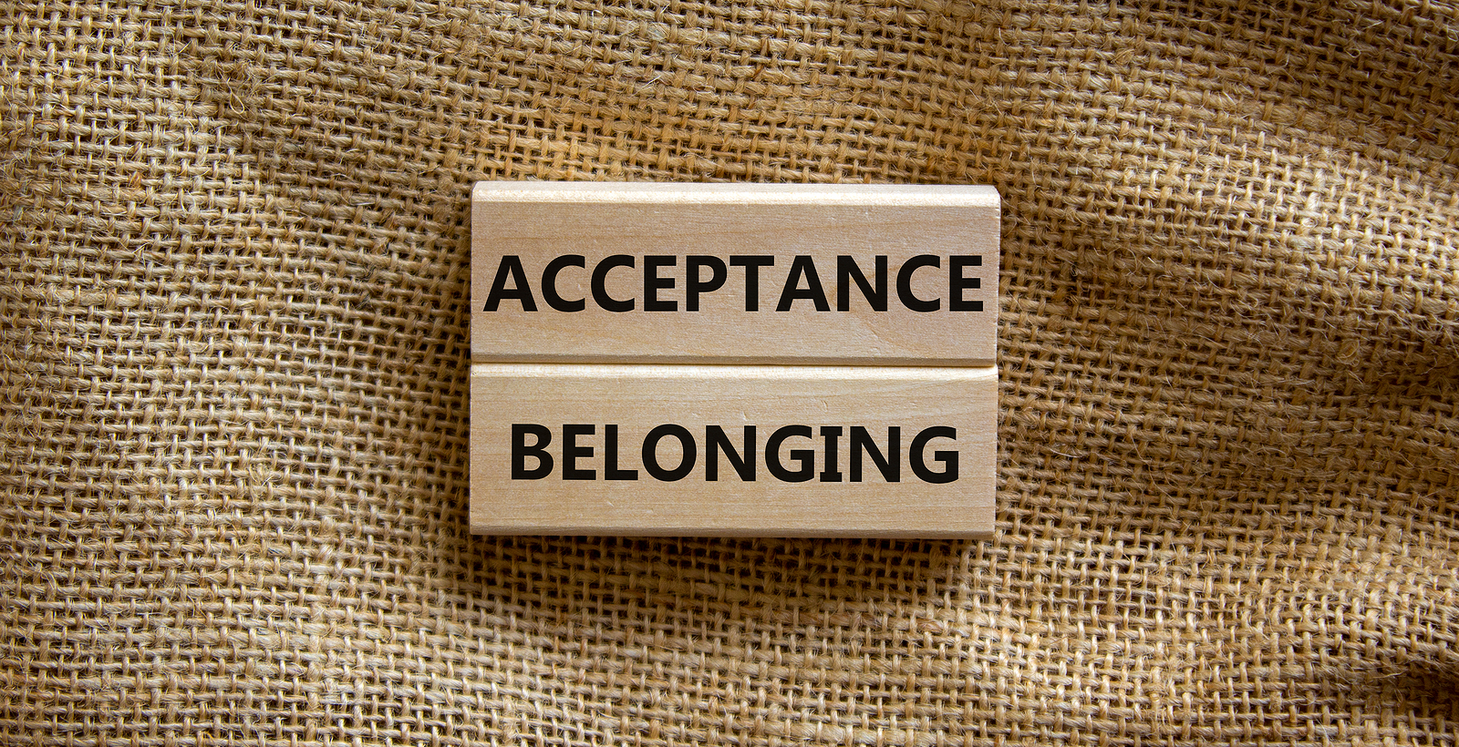 Blocks read &quot;acceptance belonging.&quot; This relates to concepts of DBT therapy in St. Louis, MO. Our DBT therapists in St. Louis, MO offer DBT.