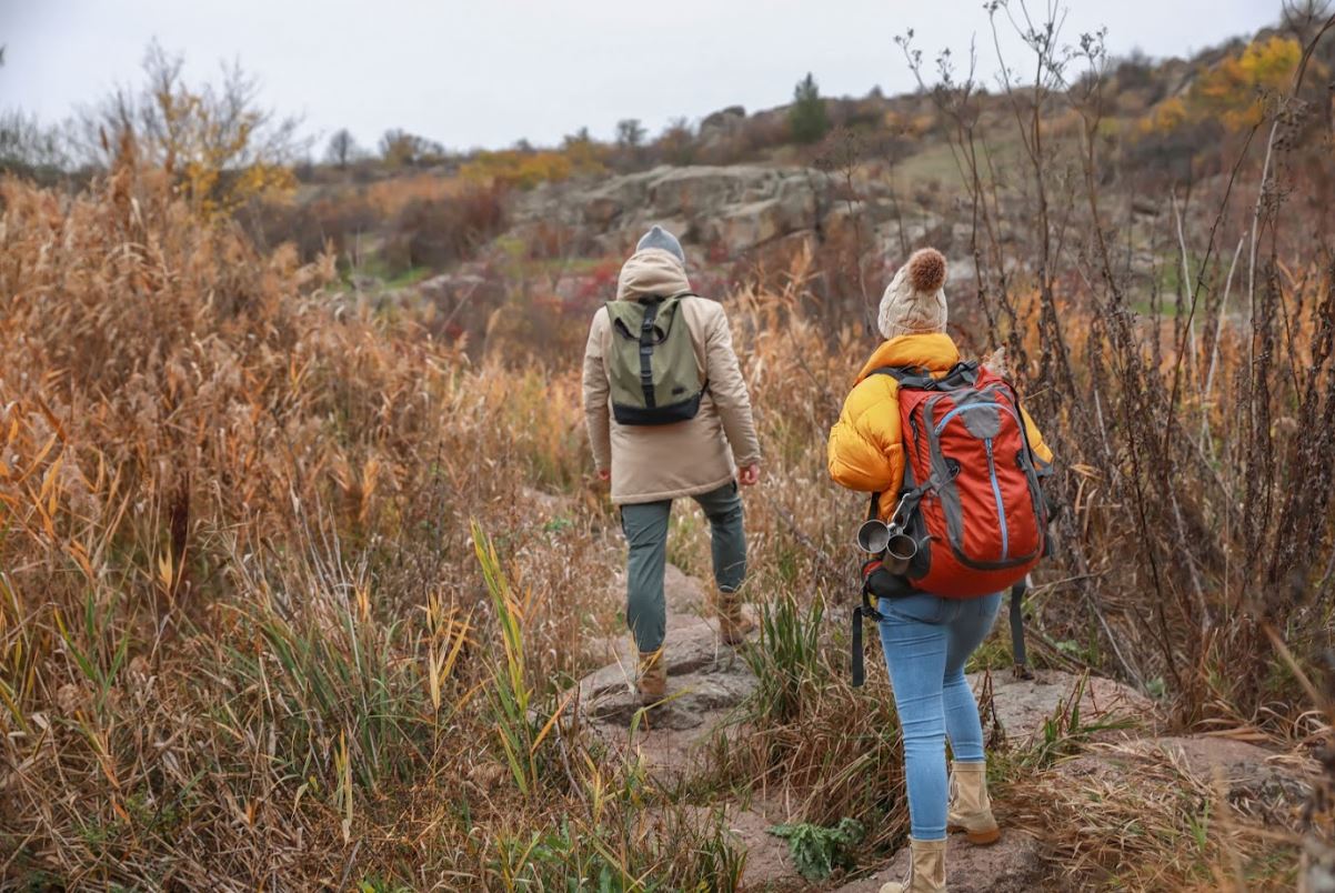 Seasonal Affective Disorder, therapy, depression
