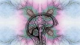 ADHD testing and treatment