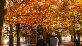 Autumn self-care routine, anxiety, SAD, depression in Ballwin and Columbia, MO